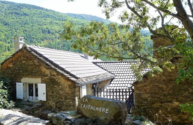 Eco-responsible cottage CASTAGNERE 4* EN CEVENNES: air conditioning, pets welcome