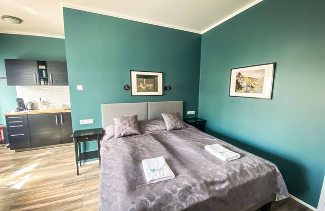 Economy Studio Apartment