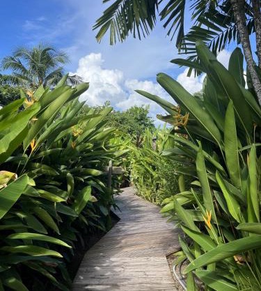 Eden Paradise Ecolodge & Spa