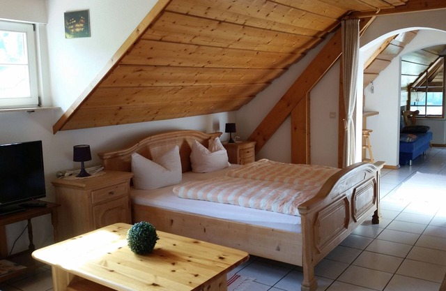 Ehrenmättlehof: Ferienwohnung E10, 45qm, Wohn-/Schlafbereich, max. 3 Personen