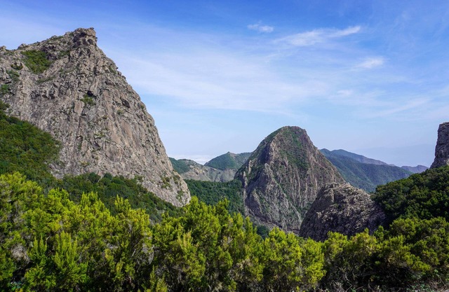 El Cedro Cottage Home