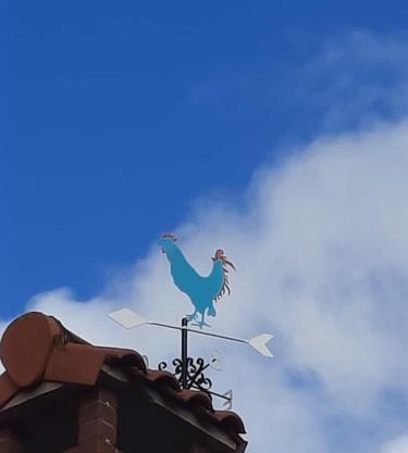 El Gallo Azul