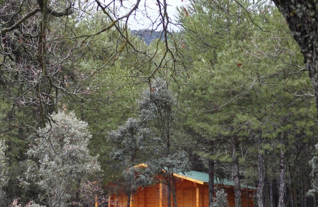 El Llano de los Conejos Cabins - Cabin 10