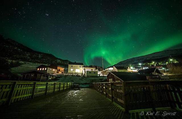 Elvegård Fjordcamp