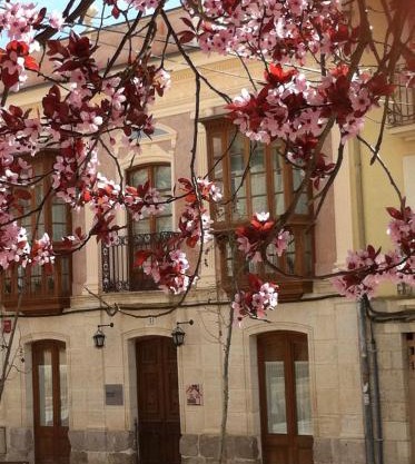 Emebed Posada