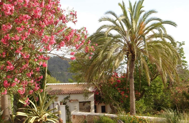 encantadora casa ibicenca