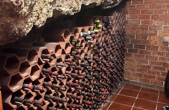Enjoy a rural house with a wine cellar and a lot of leisure!