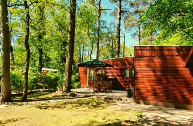 Enjoy nature! Chalet in Doornspijk.