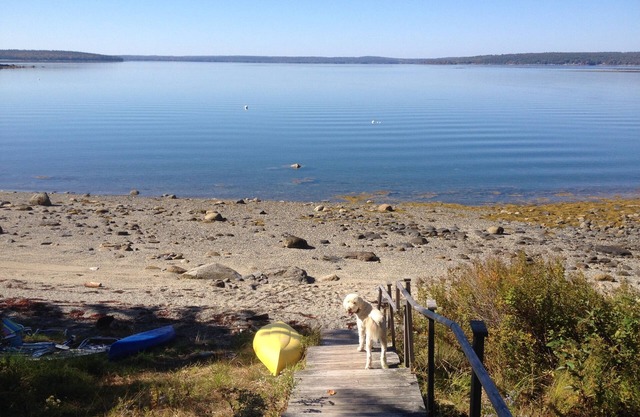 Enjoy the Maine Coast-On the Water
