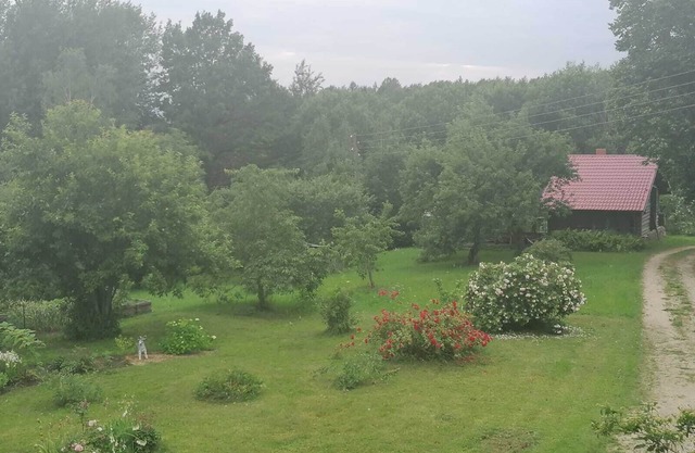Enjoy the peace of the Latvian nature
