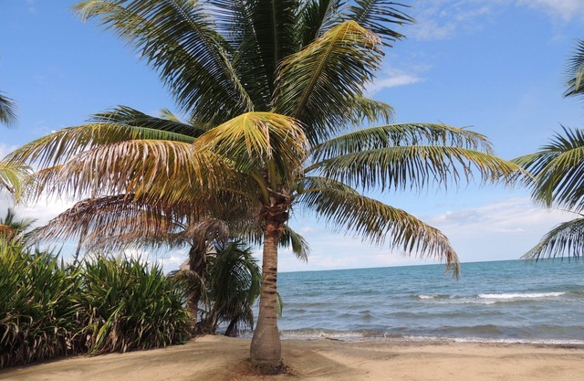 Enjoy your vacation on the beach, living in an amazing beachfront home.