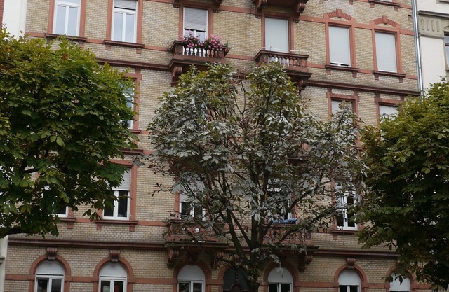 Entire Charming 3 room apartment close to botanical garden and university