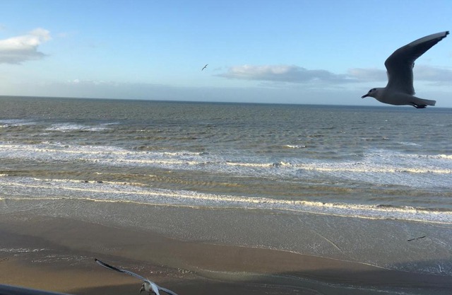 Entre dunes et mer
