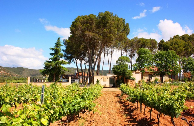 Entreviñedos del Somontano, ideal for families and groups of friends with pool!