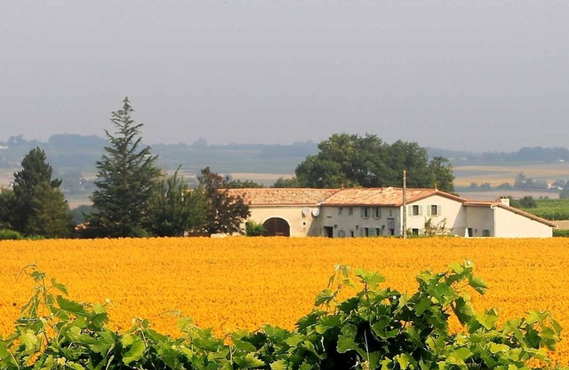 *Escape to breath-taking views and the gentle Charente-Maritime climate*