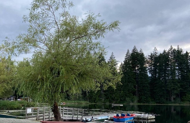 Escape to Lake Cowichan area in 2025!