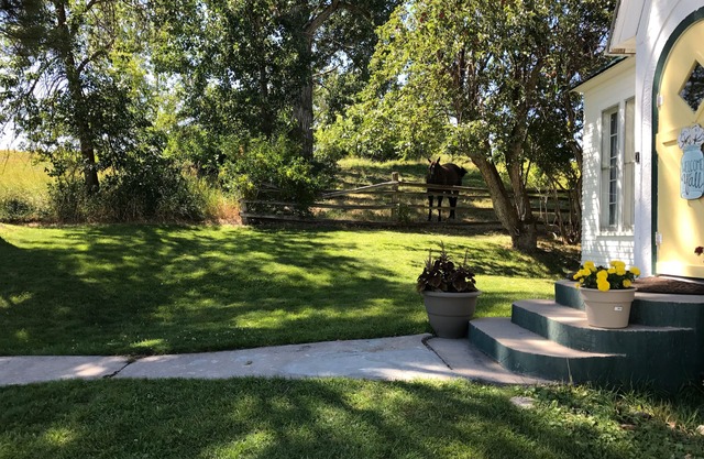 Escape to this newly renovated country cottage