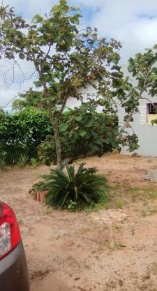 Espaço Moura