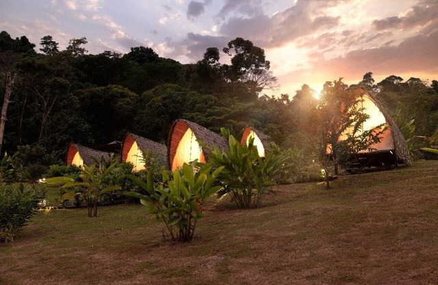Esquipulas Rainforest