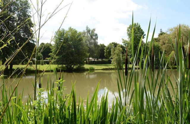 Evasion en Champagne, Proche de Paris et ses Parc, Provin