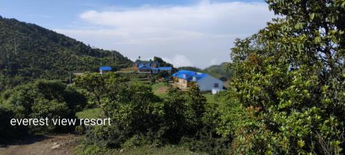 everest view resort