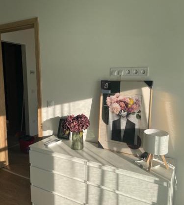 Evergreen Apartman Szeged