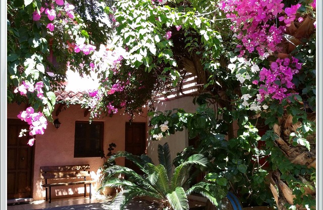 Exclusive Cottages in a quiet oliverove near the sea