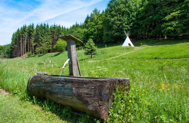 Exclusive holiday apartment on the Rothaarsteig, child-friendly outdoor adventure