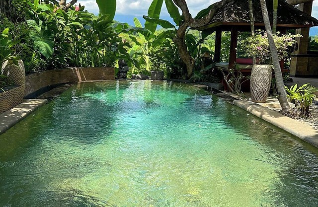Experience the pure village life in the hills of North Bali