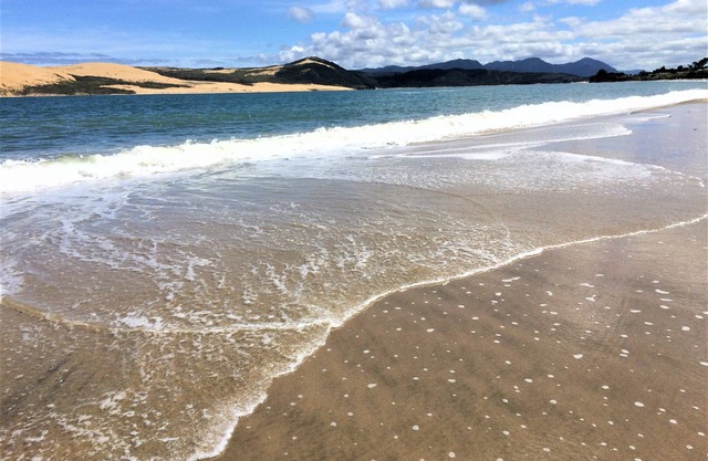 Explore the beautiful Hokianga area from this comfortable self contained flat.