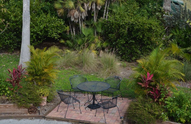 Explore the Everglades!