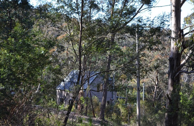 Fairy Dell - peaceful bush retreat