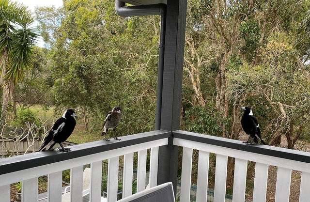 ‘Falealili’ Whole Designer House with private access to beach