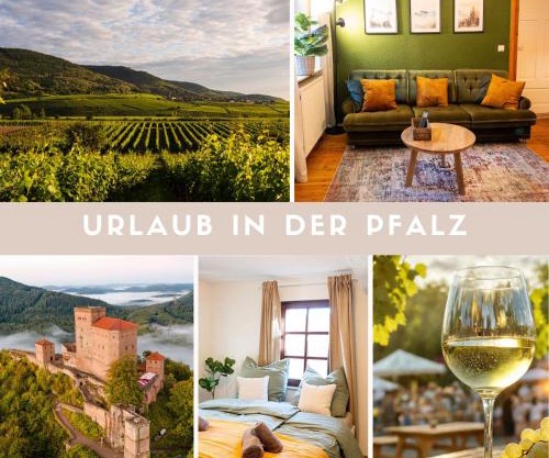 Familienglück im Waldglück Pfalz