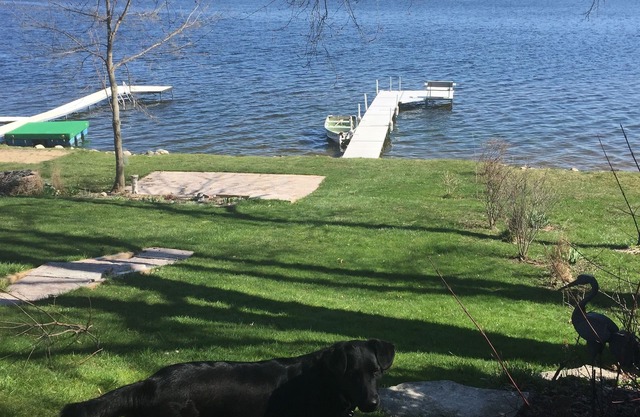 Family And Pet-Friendly On Waubeesee Lake ~ Includes Kayaks!