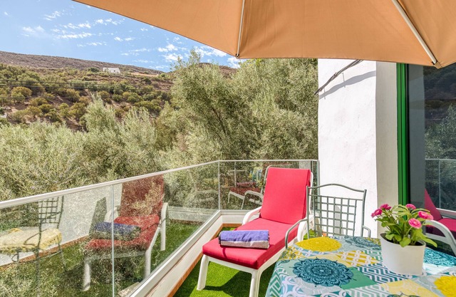 Family cotttage among olive