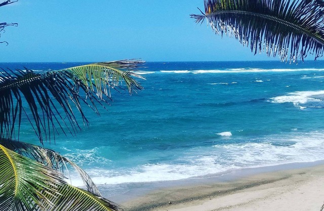 Family friendly beachfront guest house suitable for children. No pets allowed.