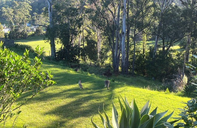 Family friendly haven in the heart of the Sapphire Coast