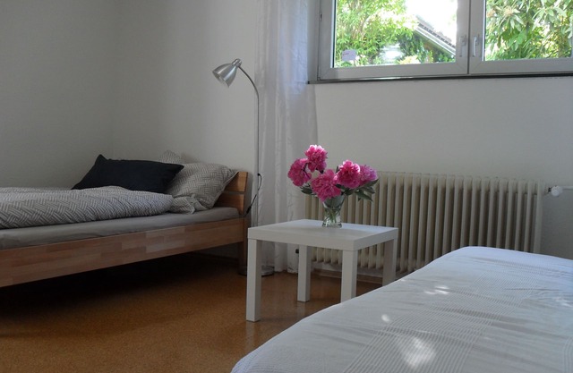 Family-friendly Non smoking holiday flat with garden in Freiburg-Gundelfinge