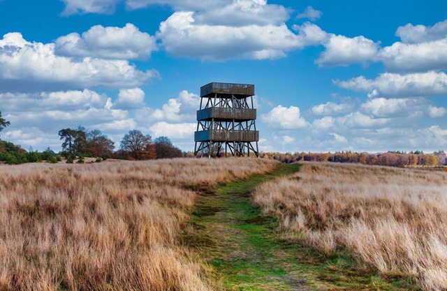 Family Friendly Sanctuary | Experience Amazing Outdoors & Top Local Attractions
