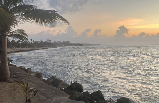 Family house 2 miles to the beach 10 min to downtown Rincon, pool w/swim up bar