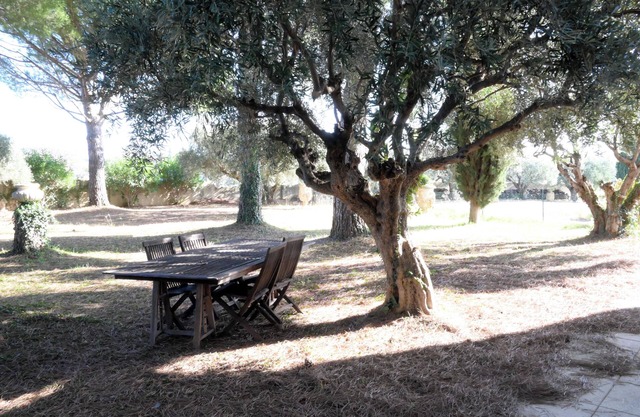 Family suite in a villa in the heart of a vineyard.