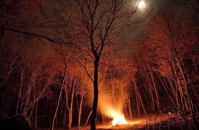 Fangorn - a house in the woods with creek, surrounded by nature.