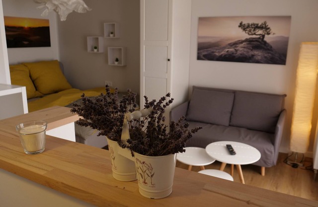 Fantastic apartment in a prime location near Dresden at the gateway to Saxon Switzerland