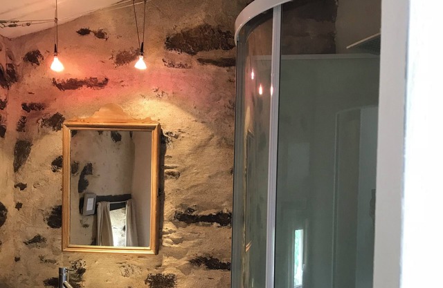 Fantastic Farm house - close to Puy du Fou
