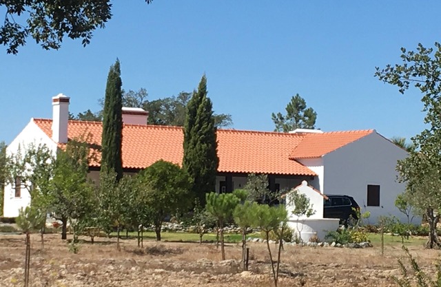 Fantastic house w/pool in quiet and hot Alentejo plain near Évora