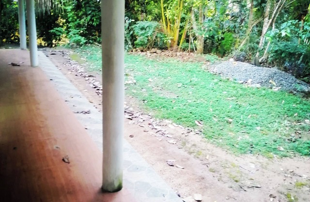 Fantastic villa with Spice Garden and Natural Environment