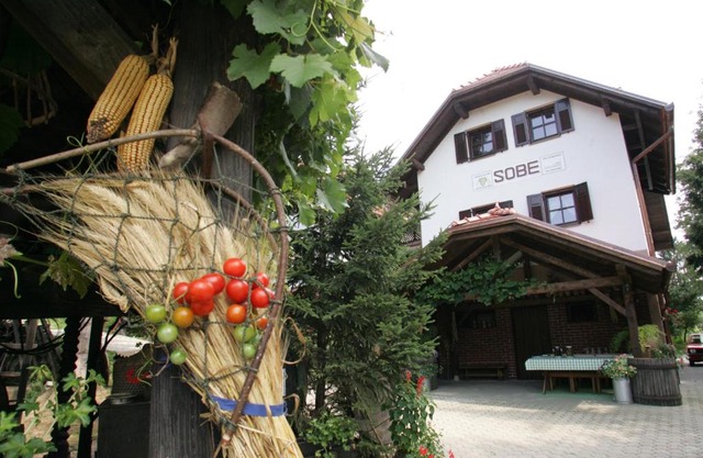 Farm Stay Frank Ozmec Wine and Glamping estate