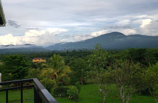 Farmhouse Estate 30mins from Ocho Rios/Kgn