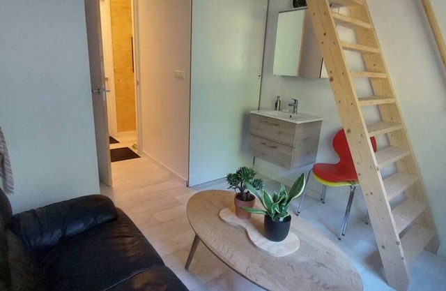 Farmhouse with 3 fabulous studio's in Ijzendijke -´Vergroening´